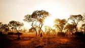 A female refugee from South Kordofan walks through the Yida refugee camp at dawn