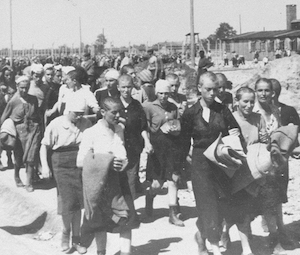 Jewish women from Subcarpathian Rus who have been selected for forced labor at Auschwitz-Birkenau, march toward their barracks after disinfection and headshaving.