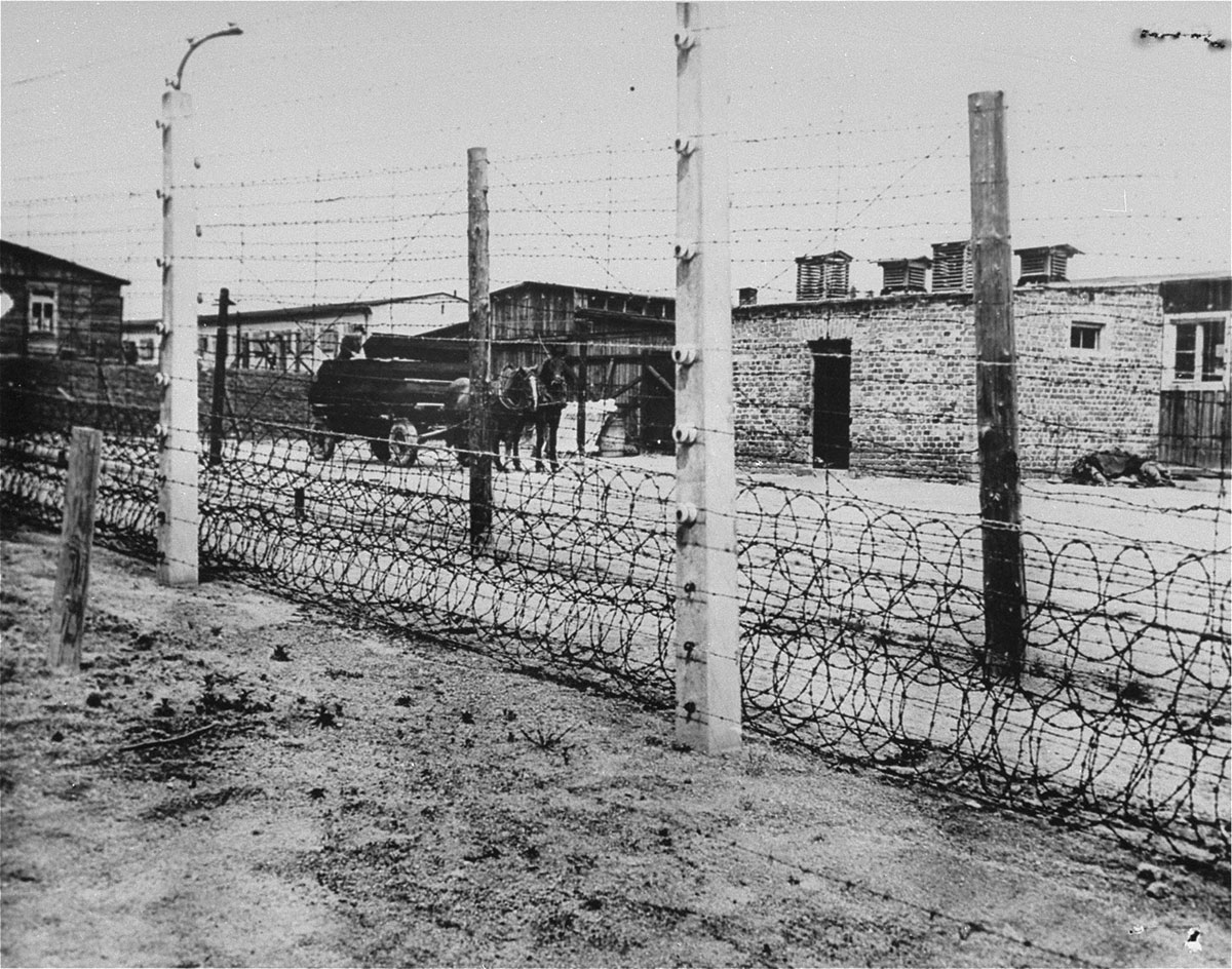 Nazi Camps