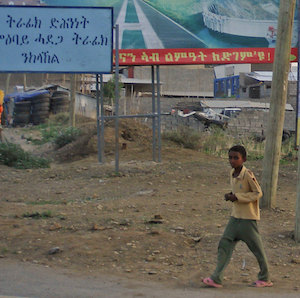 A campaign billboard for the EPRDF, Ethiopia's former ruling coalition, next to a 35th anniversary billboard for the TPLF, the Tigrayan regional party that previously dominated the ruling coalition. Tigray Region, 2010.