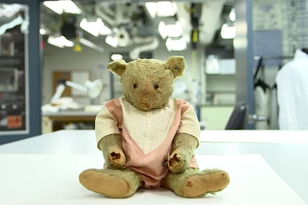 Secrets Inside: How a Boy’s Bear Helped a Family Escape Nazi Persecution